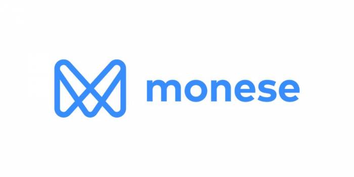 Monese Business Bank Account